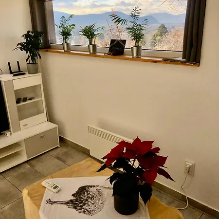 Antracit House Appartement